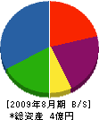 中国開発計装 貸借対照表 2009年8月期