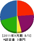 シノダ建工 貸借対照表 2011年9月期