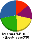 塚本商事 貸借対照表 2012年4月期