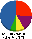 竹沢建設 貸借対照表 2008年6月期