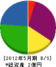 渡邊建設 貸借対照表 2012年5月期