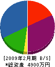 大信総業 貸借対照表 2009年2月期