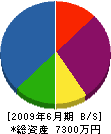 松本建設 貸借対照表 2009年6月期