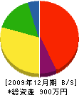 長崎東武建設 貸借対照表 2009年12月期