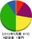 会津建物管理 貸借対照表 2012年5月期