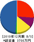 秋島工芸 貸借対照表 2010年12月期