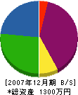 新栄電気 貸借対照表 2007年12月期