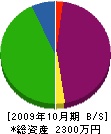 小松電機商会 貸借対照表 2009年10月期