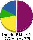 小瀬 貸借対照表 2010年6月期