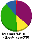 樋田塗装 貸借対照表 2010年9月期