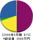 三共塗料 貸借対照表 2008年9月期