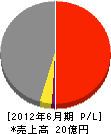 矢野興業 損益計算書 2012年6月期