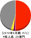 沖縄ピーシー 損益計算書 2010年6月期