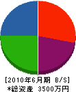 冨士電気商会 貸借対照表 2010年6月期