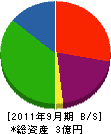 杉田建設工業 貸借対照表 2011年9月期