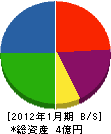 タケノ 貸借対照表 2012年1月期