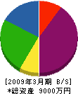 坂内工業 貸借対照表 2009年3月期
