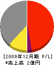 三栄工業所 損益計算書 2009年12月期