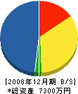 津田甚建設 貸借対照表 2008年12月期