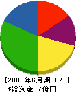 栗東総合産業 貸借対照表 2009年6月期
