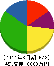 福井電気工業 貸借対照表 2011年6月期