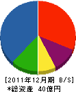 シンワ 貸借対照表 2011年12月期