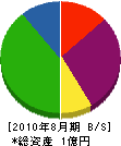 山眞組 貸借対照表 2010年8月期