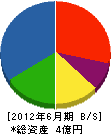 長嶺電機 貸借対照表 2012年6月期