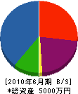 佐藤電気 貸借対照表 2010年6月期