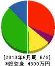東亜ホーム 貸借対照表 2010年6月期