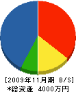カメノ隆石材 貸借対照表 2009年11月期