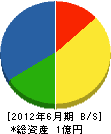 川崎電業 貸借対照表 2012年6月期