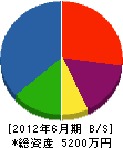 早坂建設 貸借対照表 2012年6月期