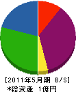 丸石商事 貸借対照表 2011年5月期