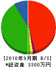 三栄電気商会 貸借対照表 2010年9月期