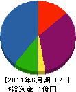 サンアイ電工 貸借対照表 2011年6月期