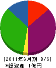 ＊橋製作所 貸借対照表 2011年6月期