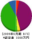 横山造園 貸借対照表 2009年6月期