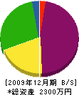 山田電機商会共和支店 貸借対照表 2009年12月期