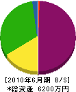大島建設工業 貸借対照表 2010年6月期