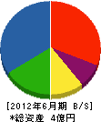 生田木材技建 貸借対照表 2012年6月期