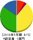 岩井電気工業 貸借対照表 2010年5月期