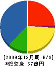 日本フローサーブ 貸借対照表 2009年12月期