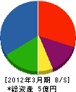 三洋興産 貸借対照表 2012年3月期