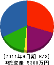 手塚建設工業 貸借対照表 2011年9月期