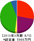 大塚建設 貸借対照表 2013年3月期
