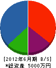 佐藤電気 貸借対照表 2012年6月期