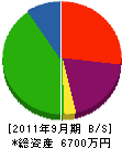 タニカワ 貸借対照表 2011年9月期