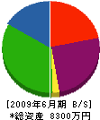 岡野 貸借対照表 2009年6月期