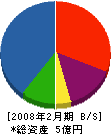 理研イー・エム・シー 貸借対照表 2008年2月期